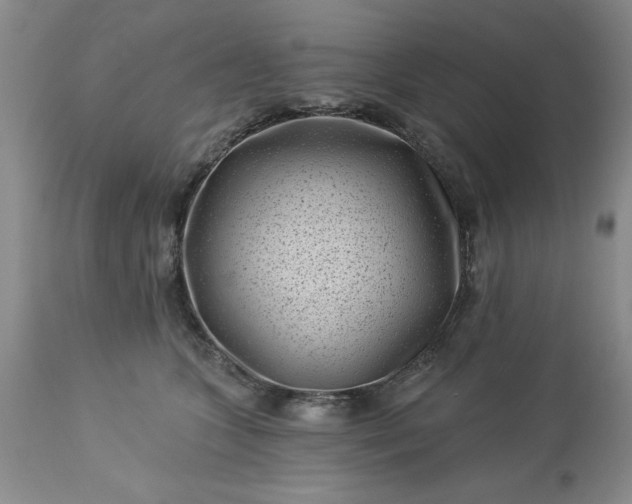 X0000113610563200910021807