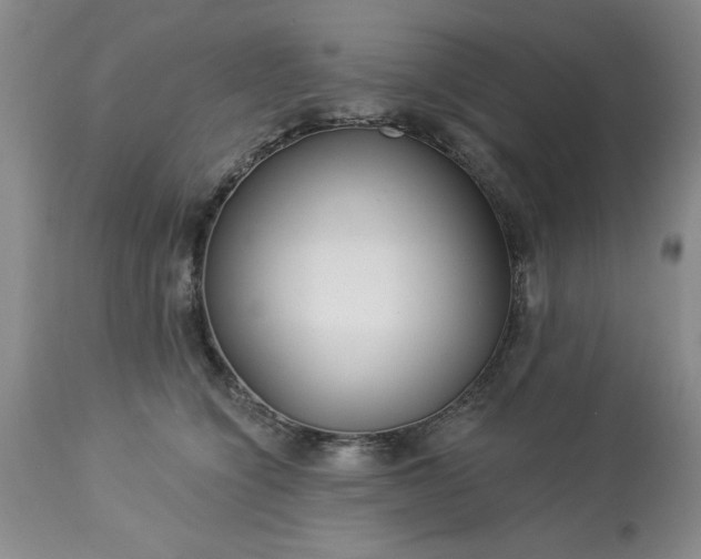 X0000113610564200910021807