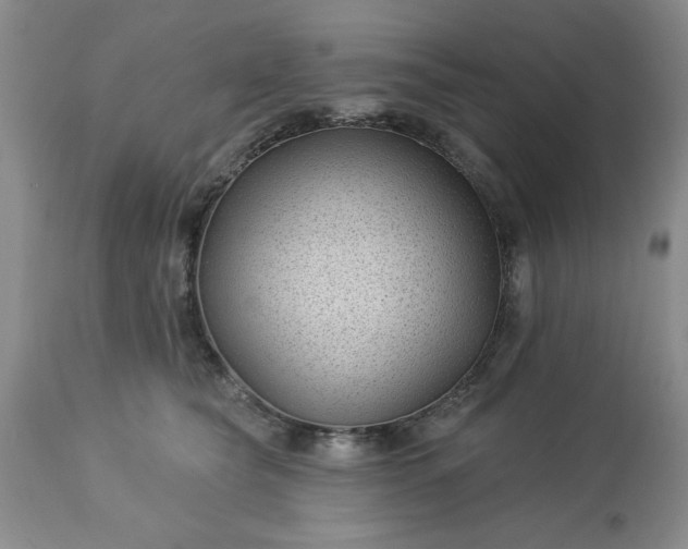 X0000113610565200910021807