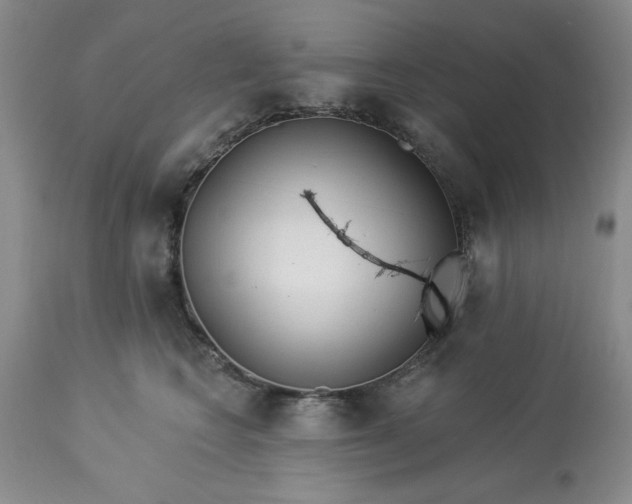 X0000113610566200910021807