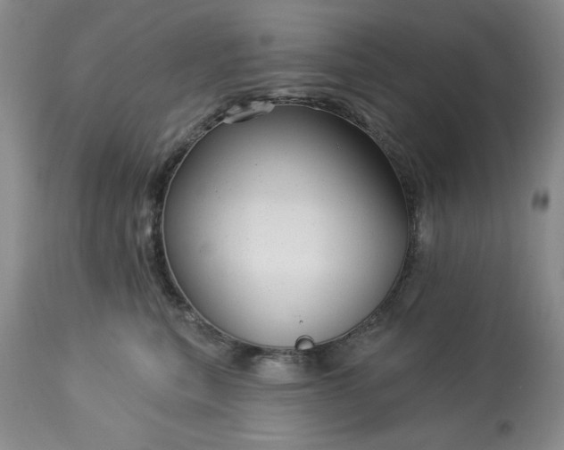 X0000113610567200910021807