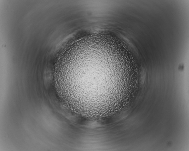 X0000113610569200910021807