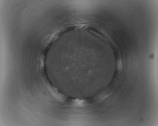 X0000113610570200910021807