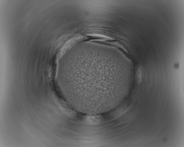 X0000113610571200910021807