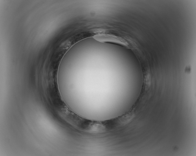 X0000113610572200910021807