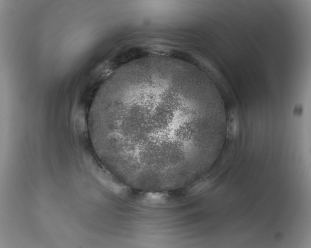 X0000113610573200910021807