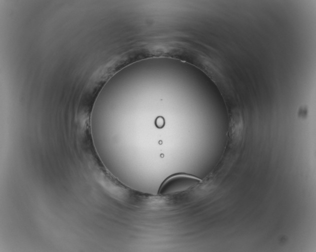 X0000113610574200910021807