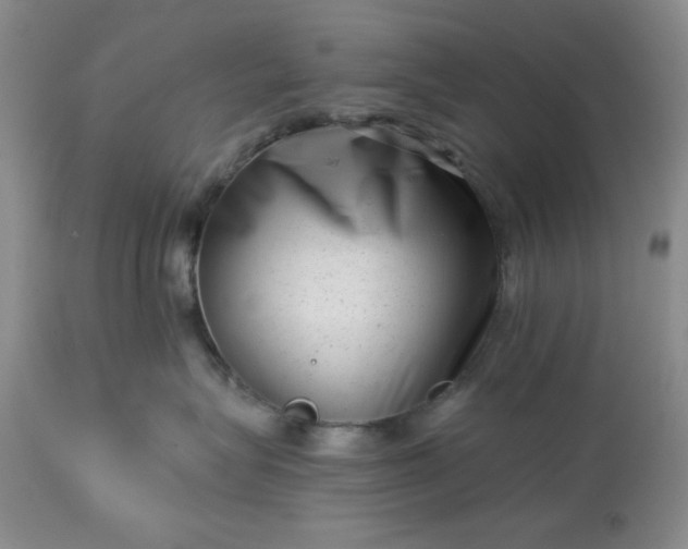 X0000113610575200910021807