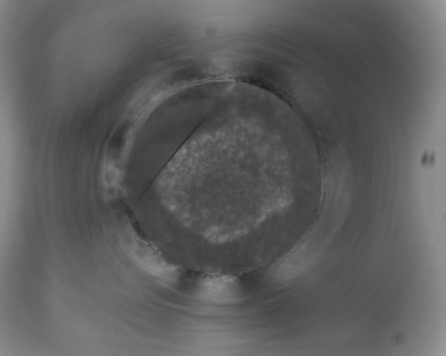 X0000113610576200910021807