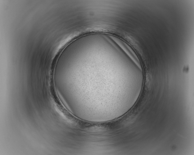 X0000113610578200910021806