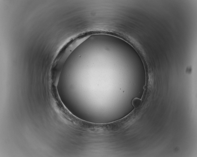 X0000113610580200910021806