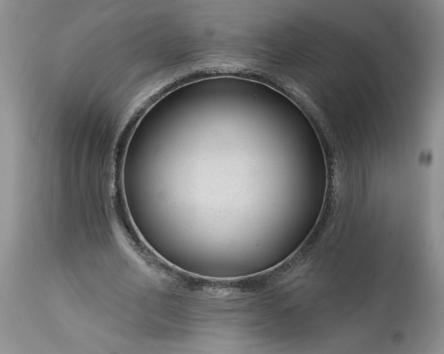 X0000113610582200910021806