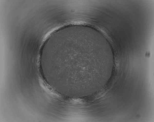 X0000113610583200910021806