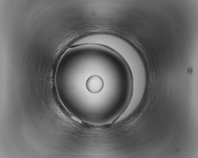 X0000113610585200910021806