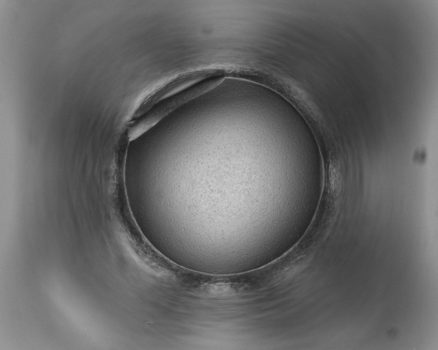 X0000113610588200910021806