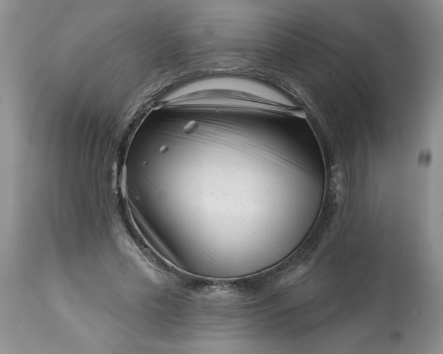 X0000113610589200910021806