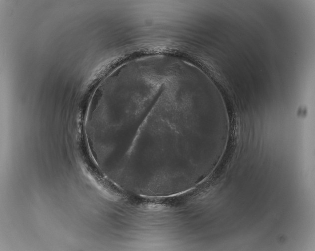 X0000113610590200910021806