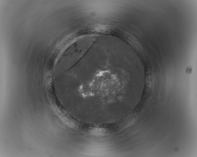 X0000113610593200910021806