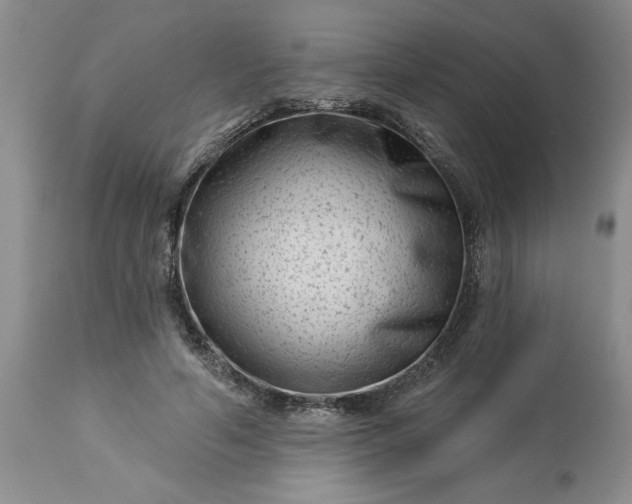 X0000113610594200910021806