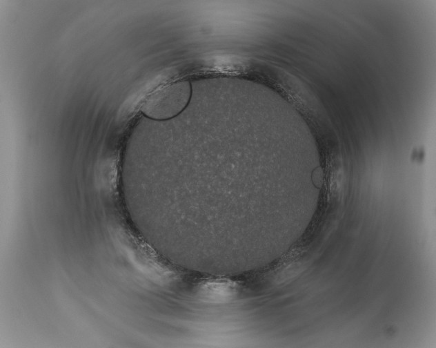 X0000113610595200910021806