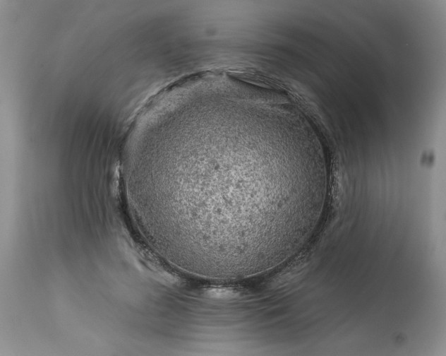 X0000113610596200910021806