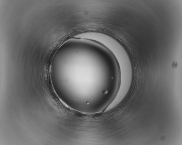 X0000113610597200910021806