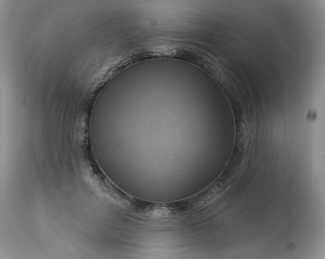 X0000113610600200910021806