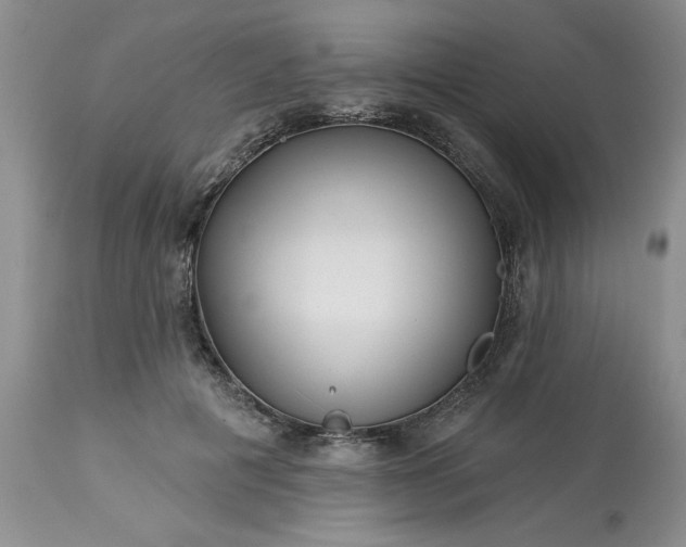 X0000113610601200910021806