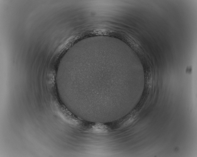 X0000113610603200910021806