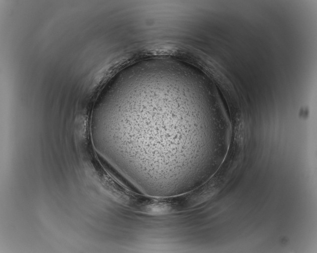 X0000113610604200910021806