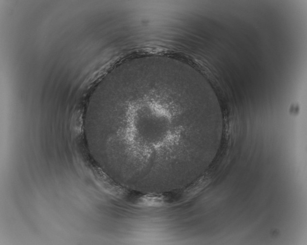 X0000113610606200910021806