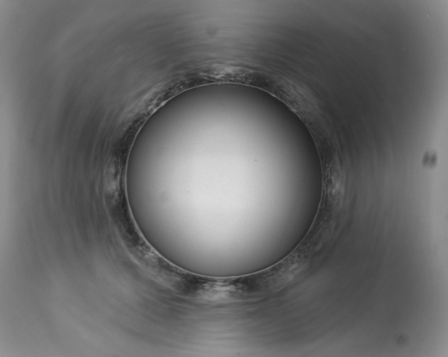 X0000113610607200910021806