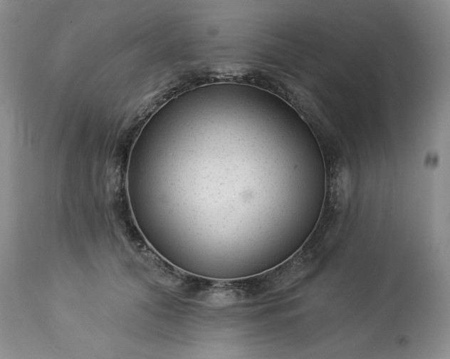 X0000113610608200910021806