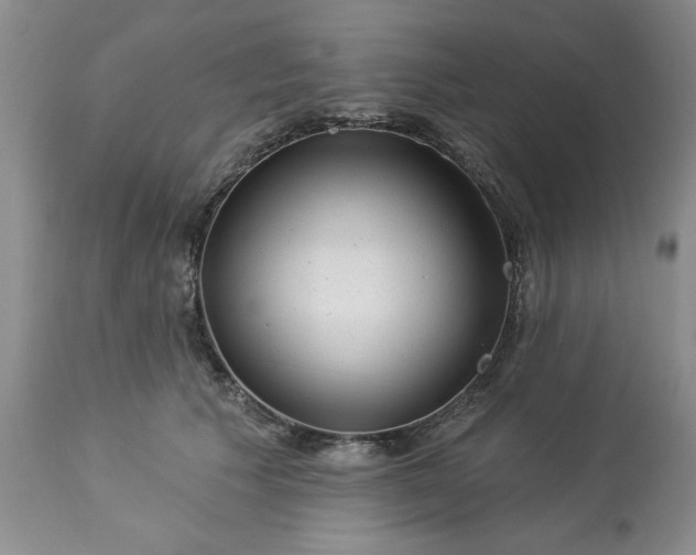 X0000113610609200910021806