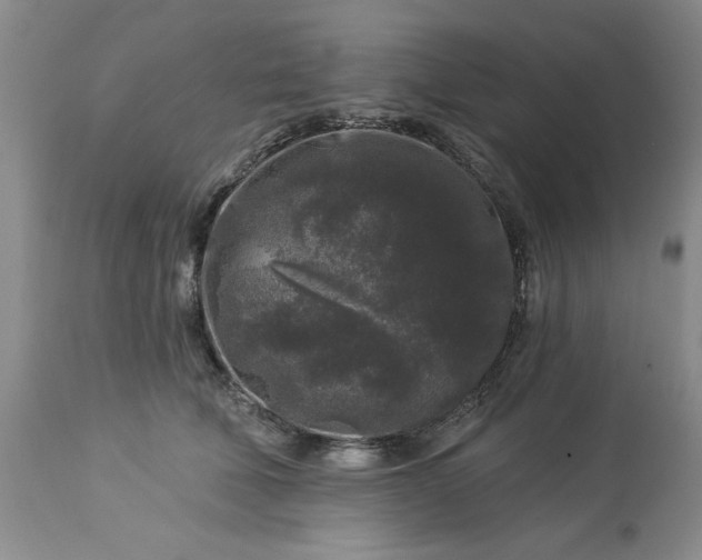 X0000113610610200910021806