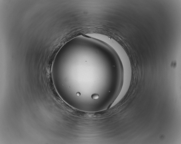 X0000113610613200910021806