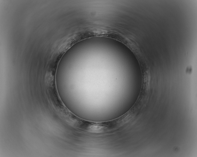 X0000113610614200910021806