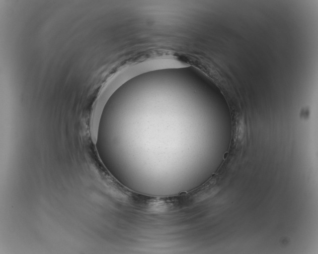 X0000113610616200910021806