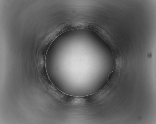 X0000113610617200910021806