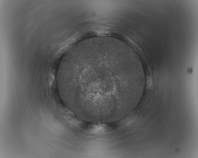 X0000113610618200910021806