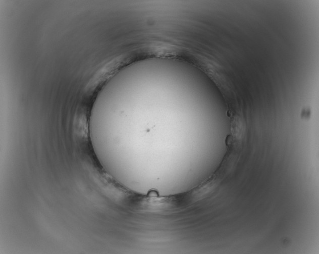 X0000113610622200910021805