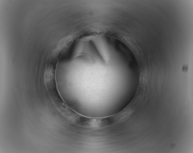 X0000113610623200910021805