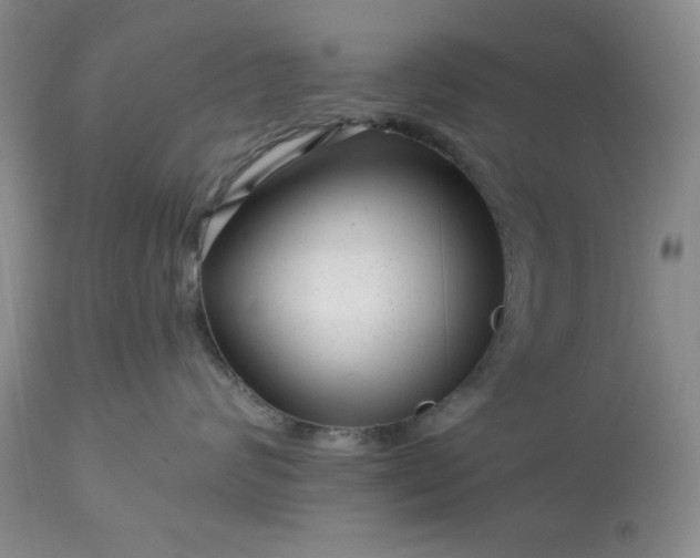 X0000113610624200910021805