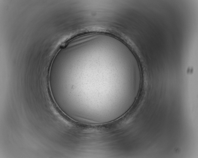 X0000113610625200910021805