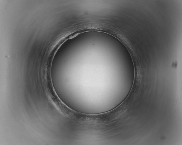 X0000113610626200910021805