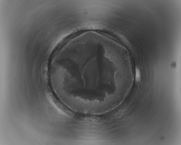 X0000113610627200910021805