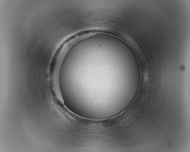 X0000113610628200910021805