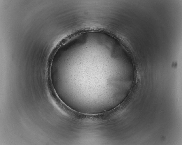 X0000113610630200910021805