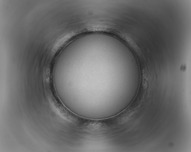 X0000113610631200910021805