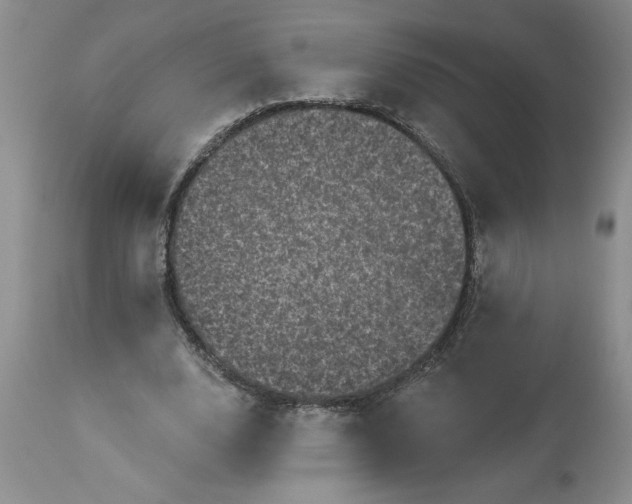 X0000113610632200910021805